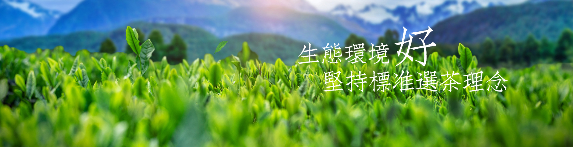 產(chǎn)品展示