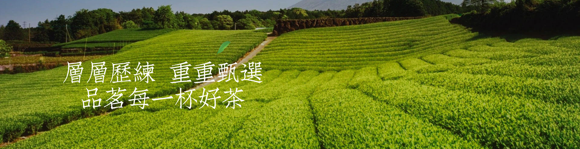 新聞中心